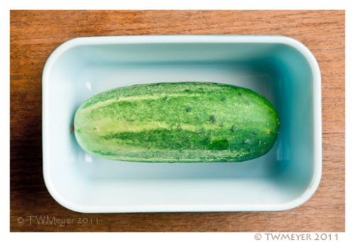 Cucumber in a blue refrigerator dish. 2001 07 07